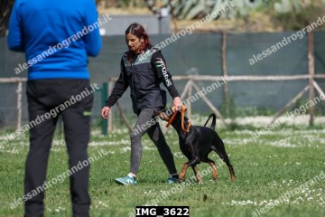 IMG_3622.jpg