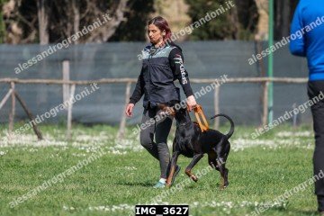IMG_3627.jpg