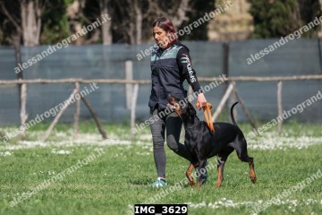 IMG_3629.jpg