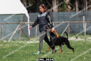 IMG_3634.jpg