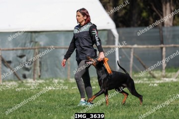 IMG_3639.jpg