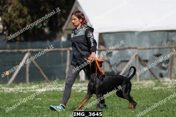 IMG_3645.jpg