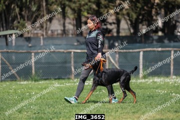 IMG_3652.jpg