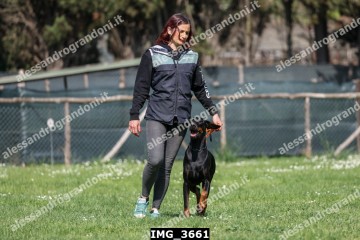 IMG_3661.jpg