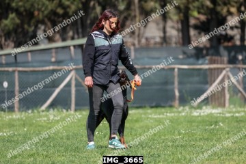 IMG_3665.jpg