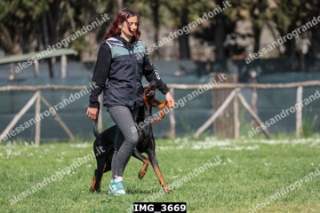 IMG_3669.jpg
