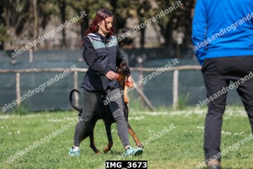 IMG_3673.jpg