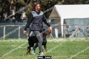 IMG_3682.jpg