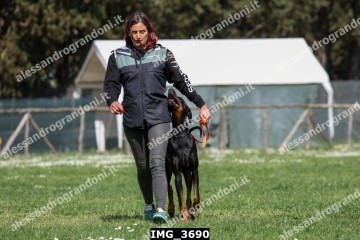 IMG_3690.jpg