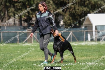 IMG_3699.jpg