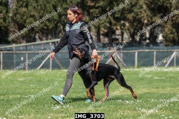 IMG_3703.jpg