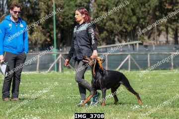IMG_3708.jpg