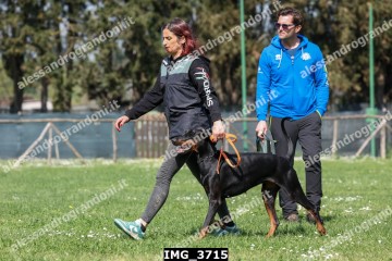 IMG_3715.jpg