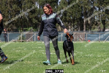 IMG_3738.jpg