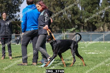 IMG_3749.jpg