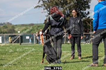 IMG_3755.jpg