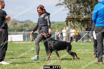 IMG_3777.jpg