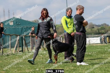 IMG_3786.jpg