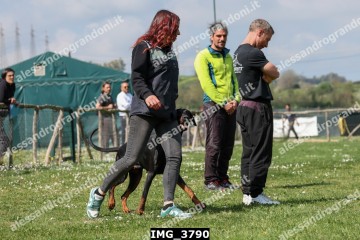 IMG_3790.jpg