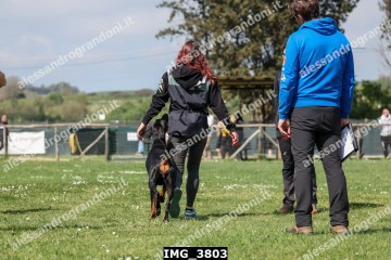 IMG_3803.jpg