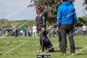 IMG_3826.jpg