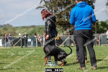 IMG_3830.jpg
