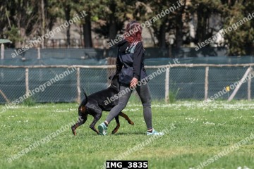 IMG_3835.jpg