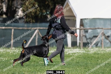 IMG_3843.jpg