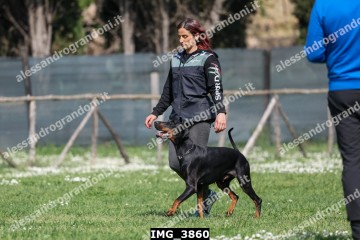 IMG_3860.jpg