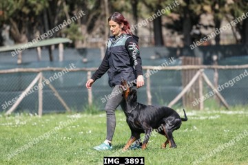 IMG_3891.jpg