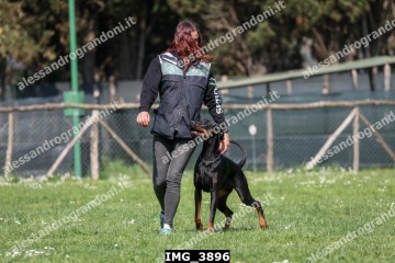 IMG_3896.jpg