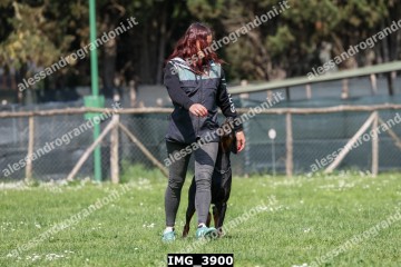 IMG_3900.jpg