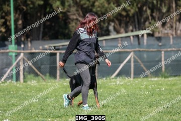 IMG_3905.jpg