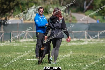IMG_3912.jpg