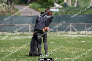 IMG_3917.jpg