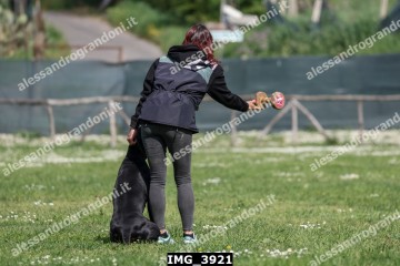 IMG_3921.jpg