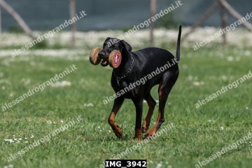 IMG_3942.jpg