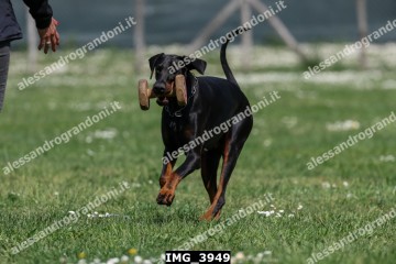 IMG_3949.jpg