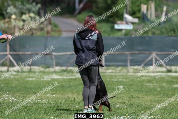 IMG_3962.jpg
