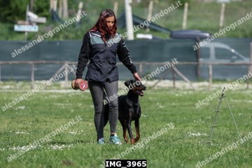 IMG_3965.jpg