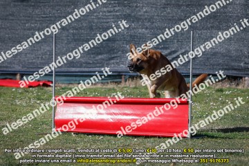 _21A0402.jpg