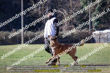 _21A0415.jpg