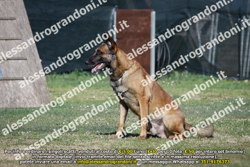 _21A0420.jpg
