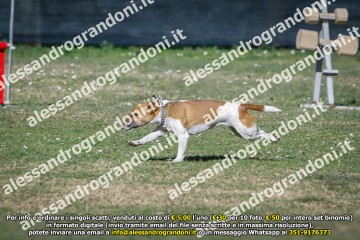 _21A0451.jpg
