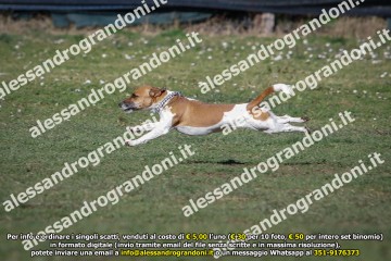 _21A0453.jpg