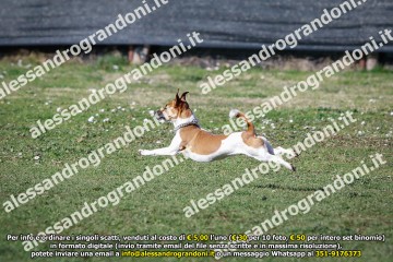 _21A0457.jpg