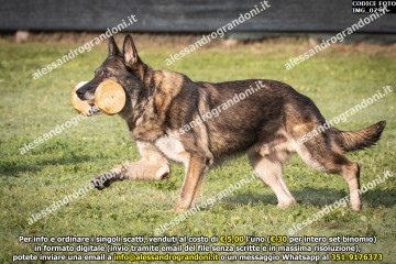 IMG_0791.jpg