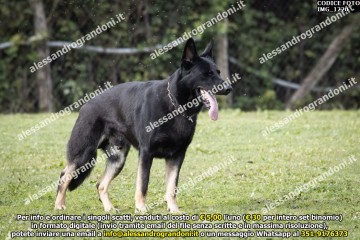 IMG_1220.jpg