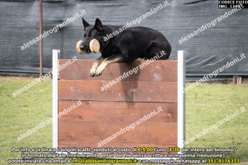 IMG_1240.jpg
