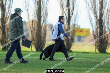 IMG_0024.jpg